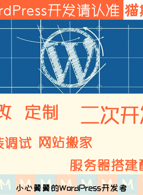 wp开发 wordpress主题修改 wp主题开发 wp插件开发 个性化 建站迷