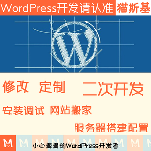 wp开发 wordpress主题修改 wp主题开发 wp插件开发 个性化 建站迷