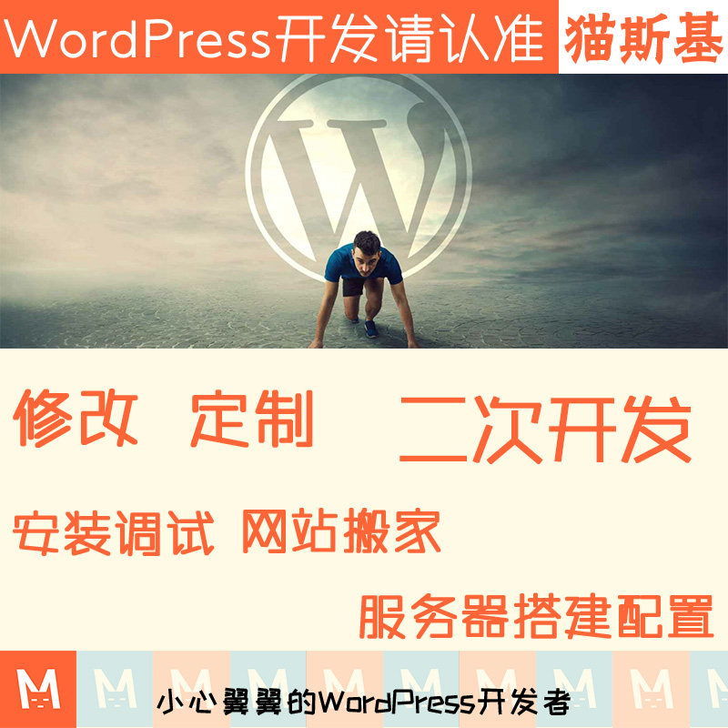 wp主题二次开发 wordpress模板修改 wp插件修改开发 建站迷