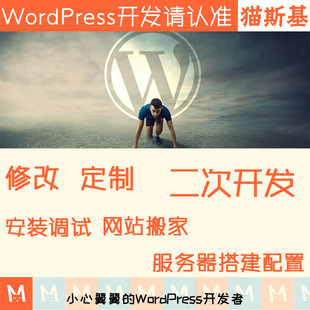 wp主题二次开发 wordpress模板修改 wp插件修改开发 建站迷