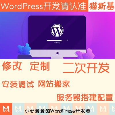 wp主题修改 wp模板修改 wp二次开发 wp插件开发 模板美化 建站迷
