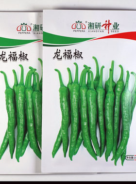 口感香辣的小尖椒，产量高抗性好
