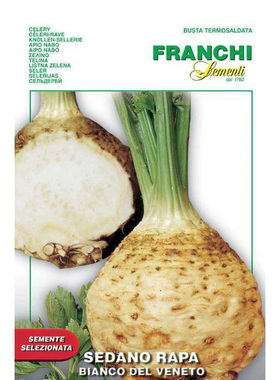 【根芹菜种子】根洋芹 root celery 香草种子春秋播阳台盆栽种子