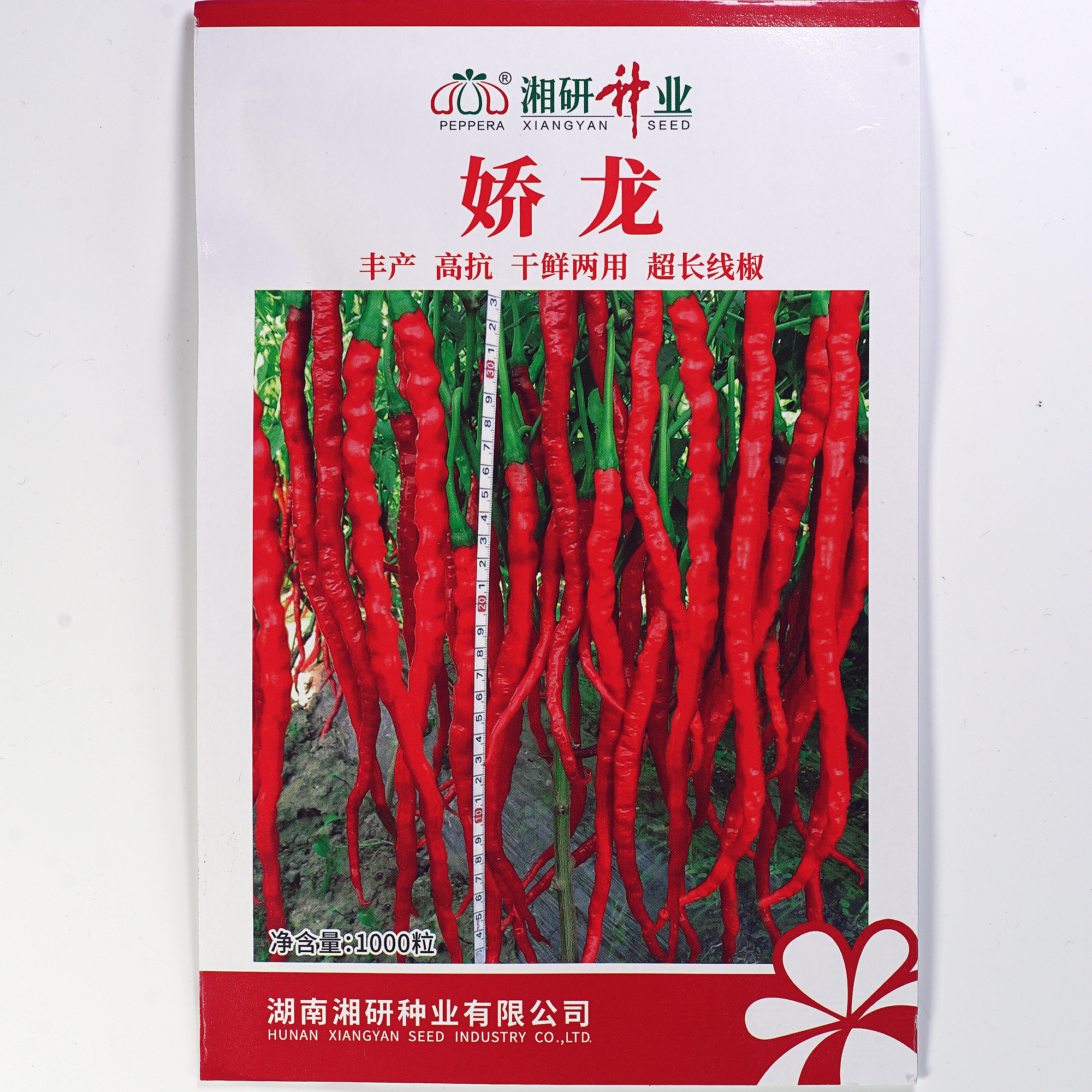 【湘研娇龙线辣椒种子】辣味浓鸡肠子辣椒剁椒产量高抗病易种植