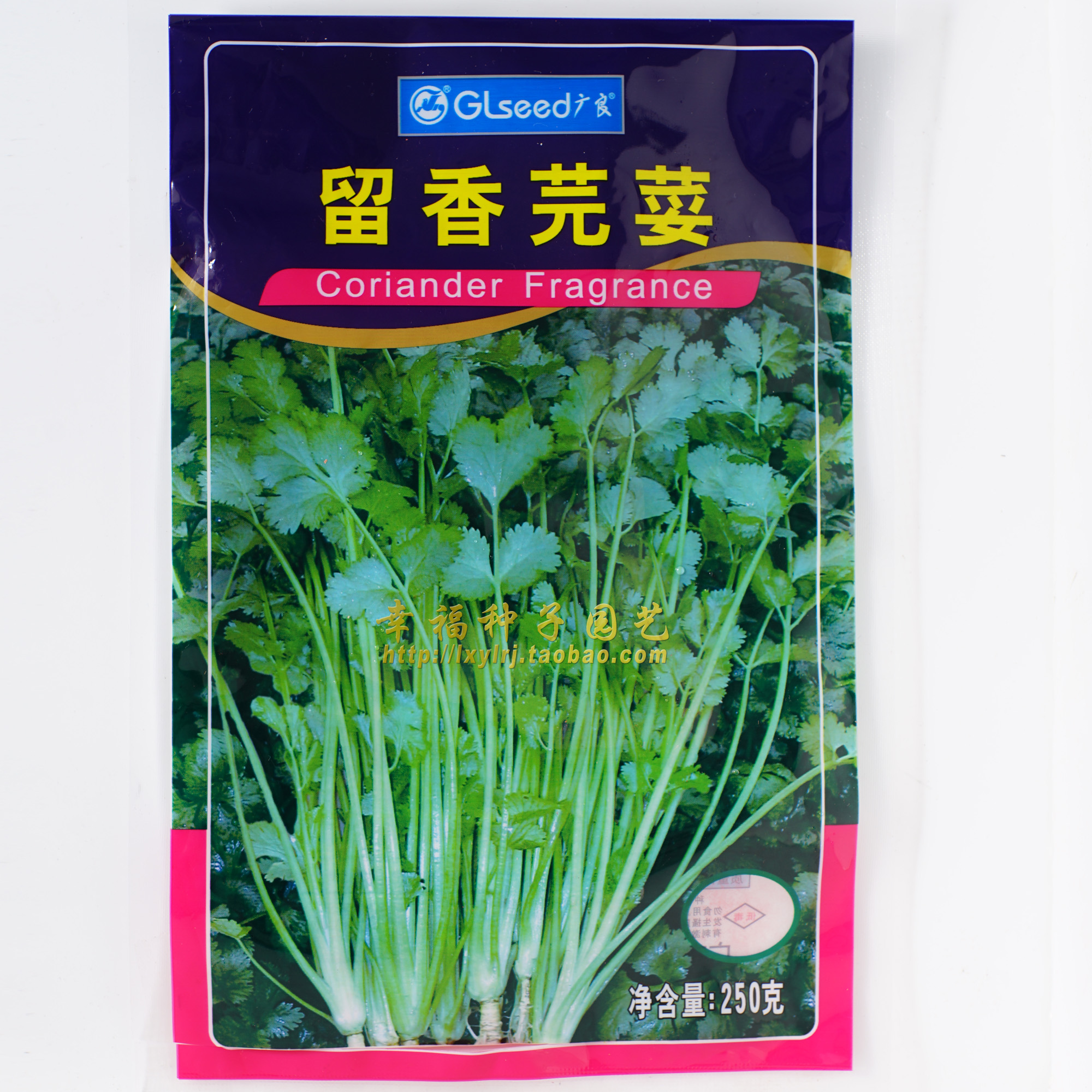 广良香菜种子春播耐抽苔香味浓香