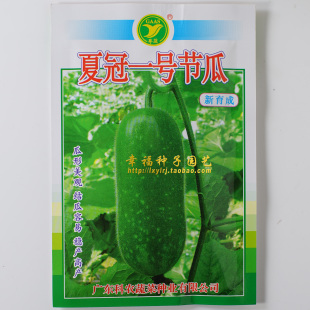 结瓜容易【夏冠一号节瓜种子】广东省农科院出品 春夏秋播 产量高