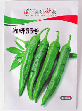章树港辣椒种子微辣高品质薄皮椒