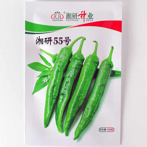 章树港辣椒种子微辣高品质薄皮椒
