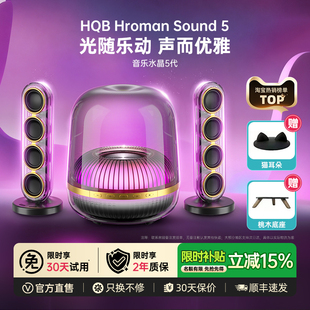 华强北新款 水晶5蓝牙音箱桌面音响电脑视客厅环绕家用政府补贴