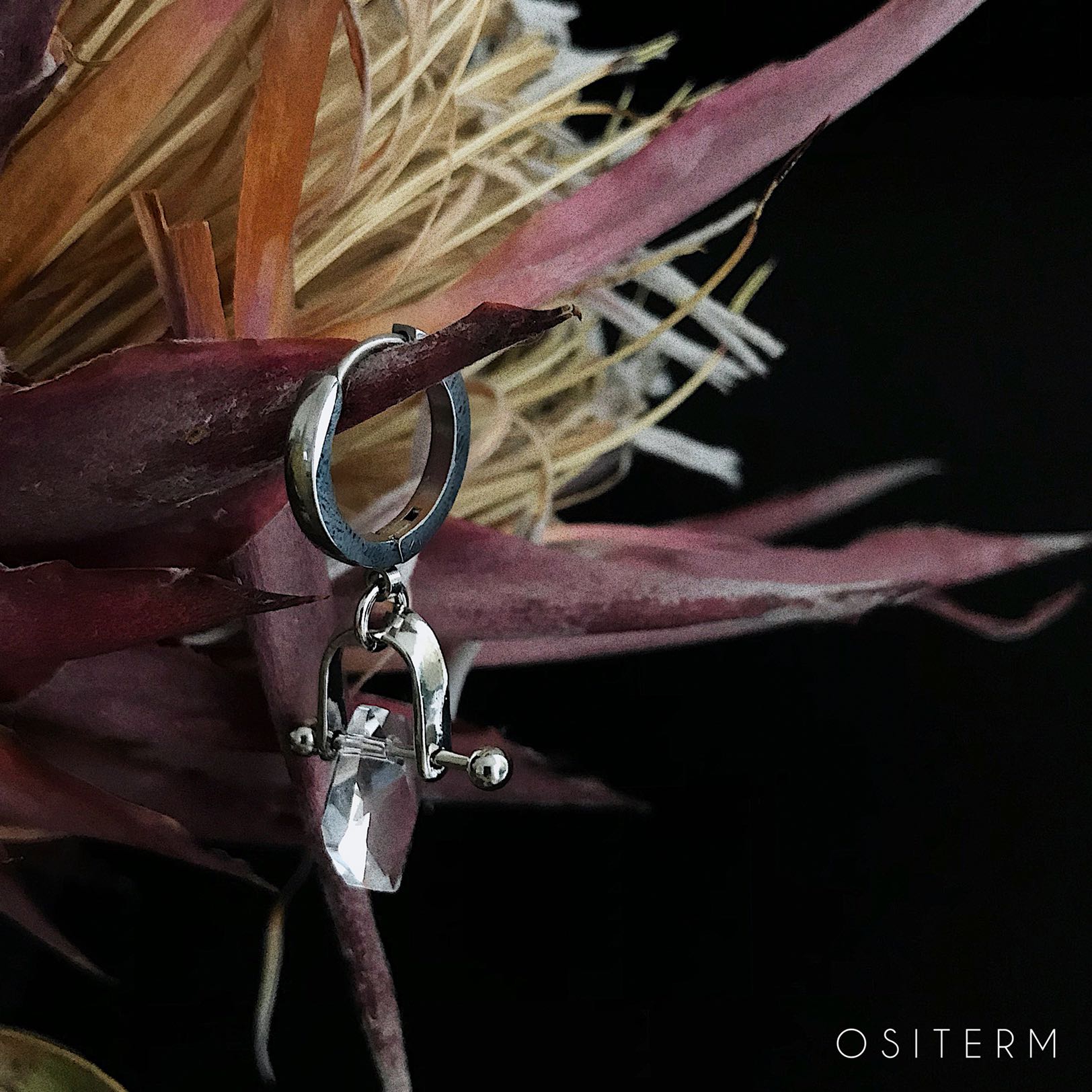 ositerm限定新品耳环吊坠医用钢