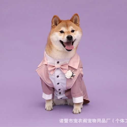 爆款粉色宠物西装大型狗狗稀有款衣服婚礼礼服燕尾服大型犬