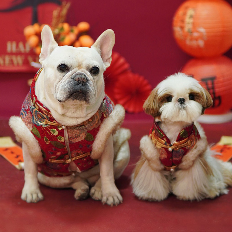 宠物DDPET秋冬新年衣服比熊