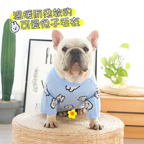 Синий кролик, зимний милый удерживающий тепло свитер, кот, домашний питомец