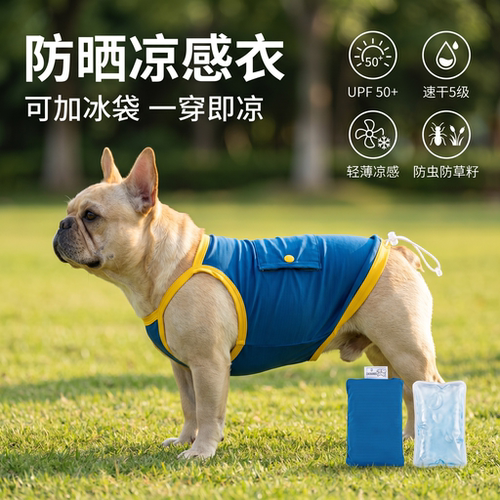 iBeans狗狗凉感冰袋防晒背心