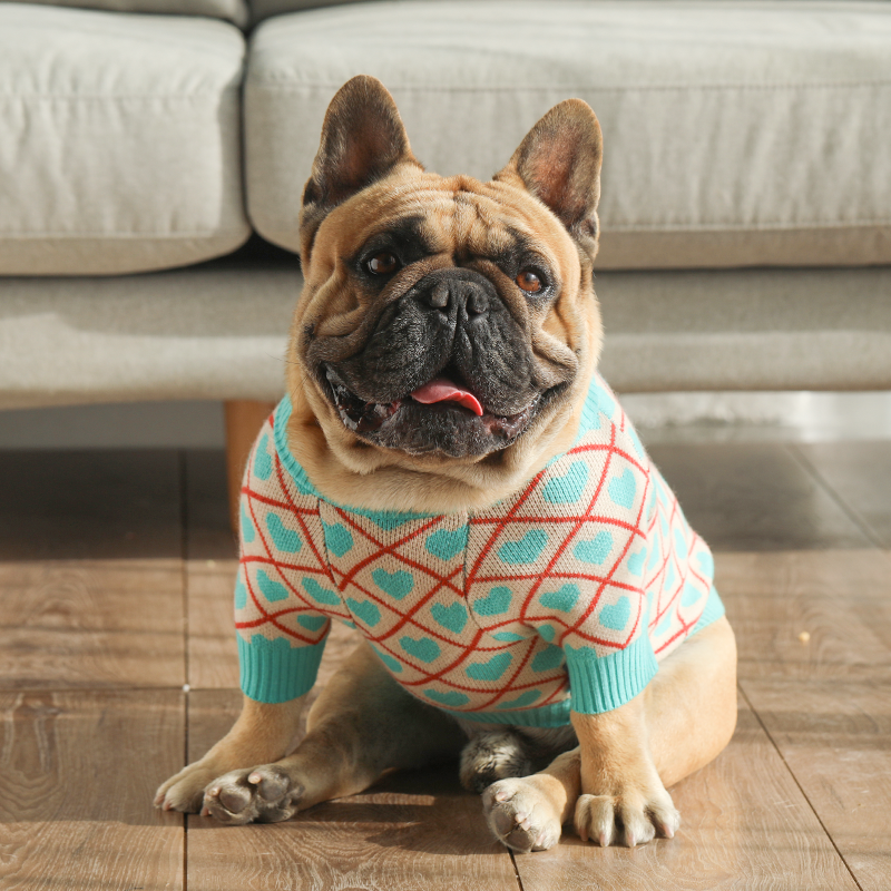 潮牌狗狗衣服毛衣保暖外套