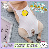 礼貌柯基泰迪透气新款 法斗生理裤 女狗月经例假宠物姨妈背带卫生裤