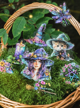 美好的一天 贴纸包 森林系列造景PET手账素材装饰打底贴画6款