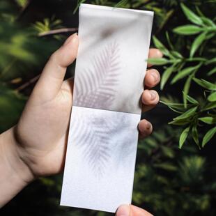 美好的一天素材本 收集光与影系列 光影手帐装饰拼贴素材30张 6款