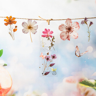 美好的一天林间低语系列干花PET贴纸粉雾梦镜4款50张入