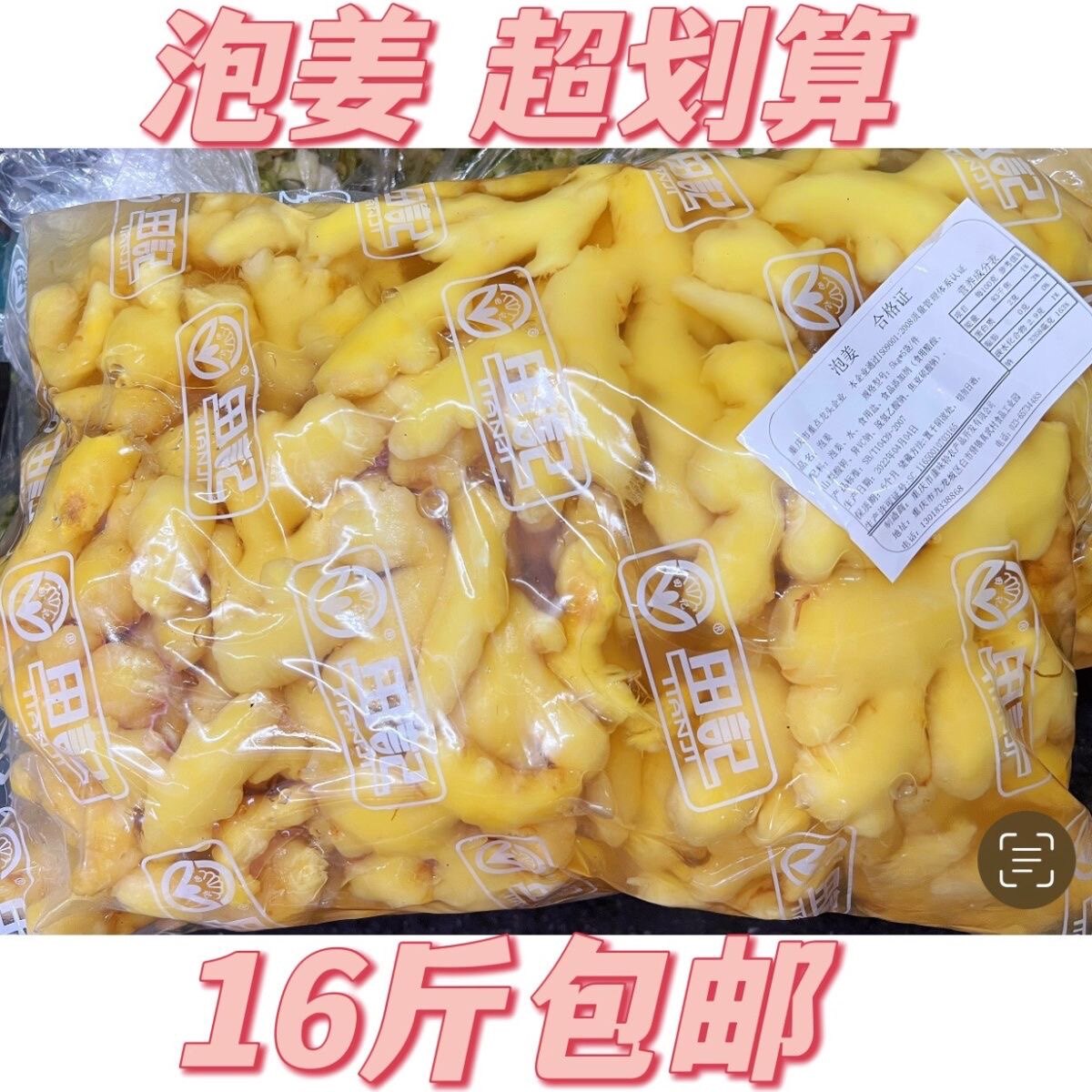 重庆特产老坛泡姜农家正宗腌制新鲜姜下饭菜餐饮专用16斤促销包邮,水产肉类/新鲜蔬果/熟食,酱菜/下饭菜/外婆菜,淘宝优惠券,粉丝福利购,淘宝优惠卷