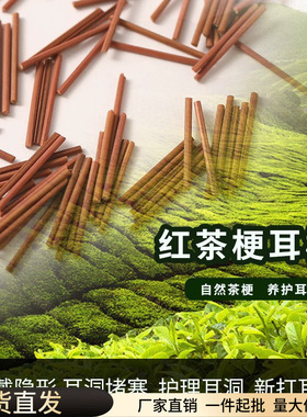 茶叶梗耳棒耳钉女养耳洞发炎茶叶棍防堵针男耳棒耳棍学生隐形耳环