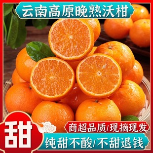 手剥橘子柑橘桔子 云南晚熟高原沃柑5斤新鲜孕妇水果当季 整箱大果