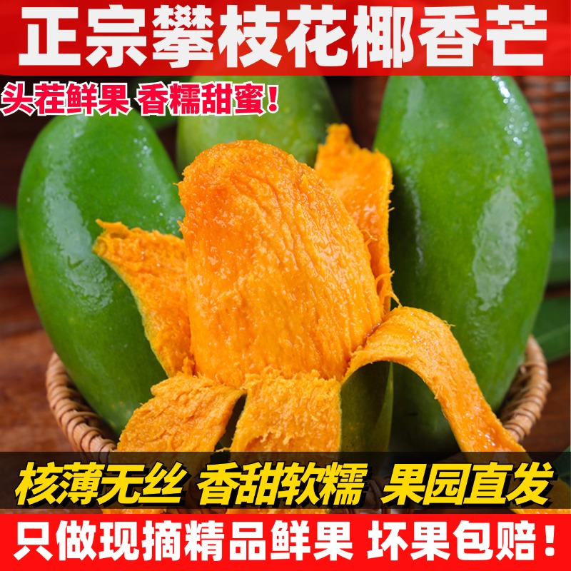 正宗攀枝花椰香芒果青皮雞蛋芒孕婦當(dāng)季水果產(chǎn)地現(xiàn)摘現(xiàn)發(fā)