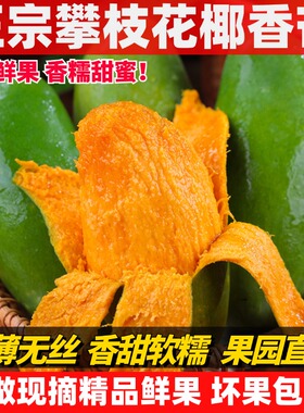 正宗攀枝花椰香芒果青皮鸡蛋芒孕妇当季水果产地现摘现发