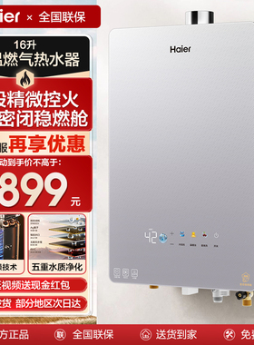 海尔燃气热水器家用洗澡16升增压水伺服恒温天然气下置风机HD5