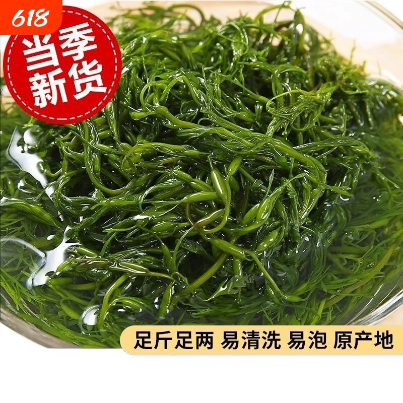 鞭炮笋海草凉拌菜盐渍马尾藻火锅食材海麻辣烫炮仗笋长寿菜鞭泡笋