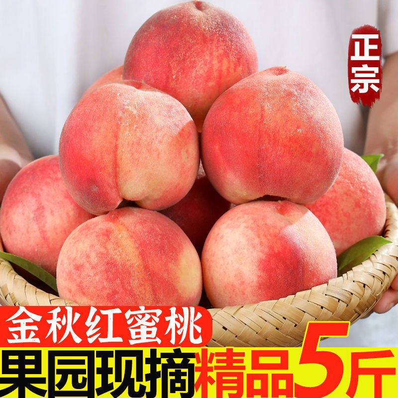 【3人团】正宗金秋红蜜桃子脆桃5斤装单果155g以上新鲜应季水果