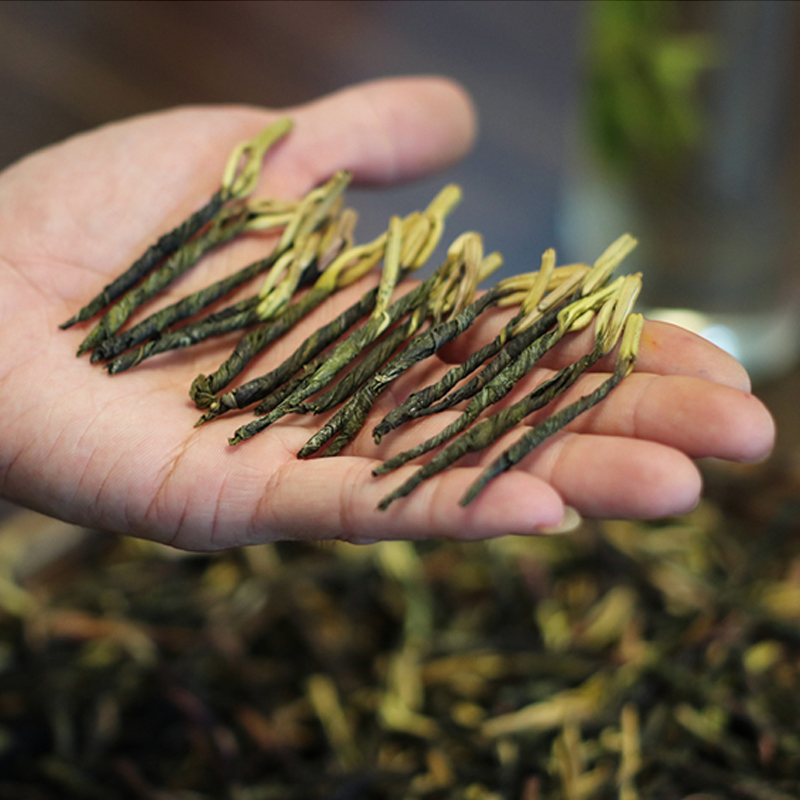 圣缇2025新茶春季海南苦丁茶大叶冬青白骨苦丁茶微苦解暑茶礼盒装