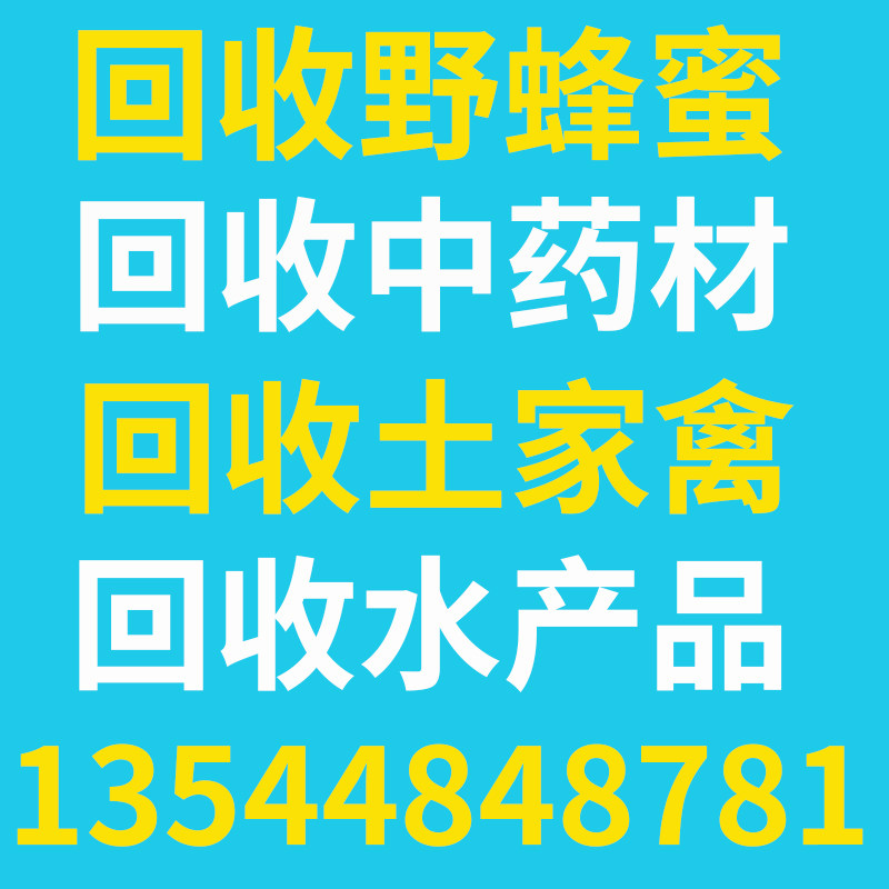回收蜂蜜纯正天然土蜂蜜野生正宗洋槐花峰蜜荔枝龙眼百花蜜