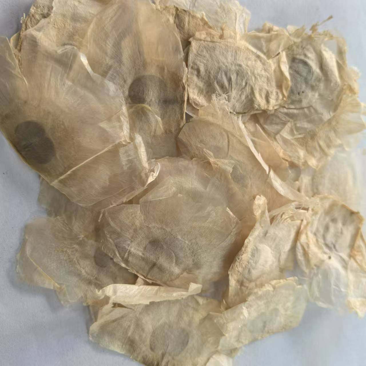 千张纸拍2斤包邮玉蝴蝶