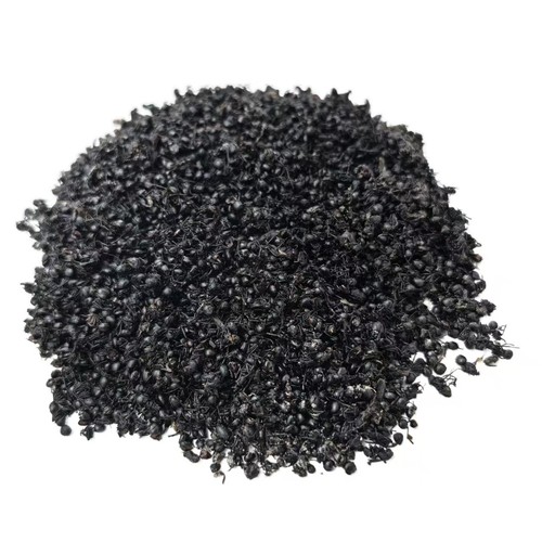 黑蚂蚁  大黑蚂蚁拟黑多刺蚁红蚂蚁中药材供应500g克包邮
