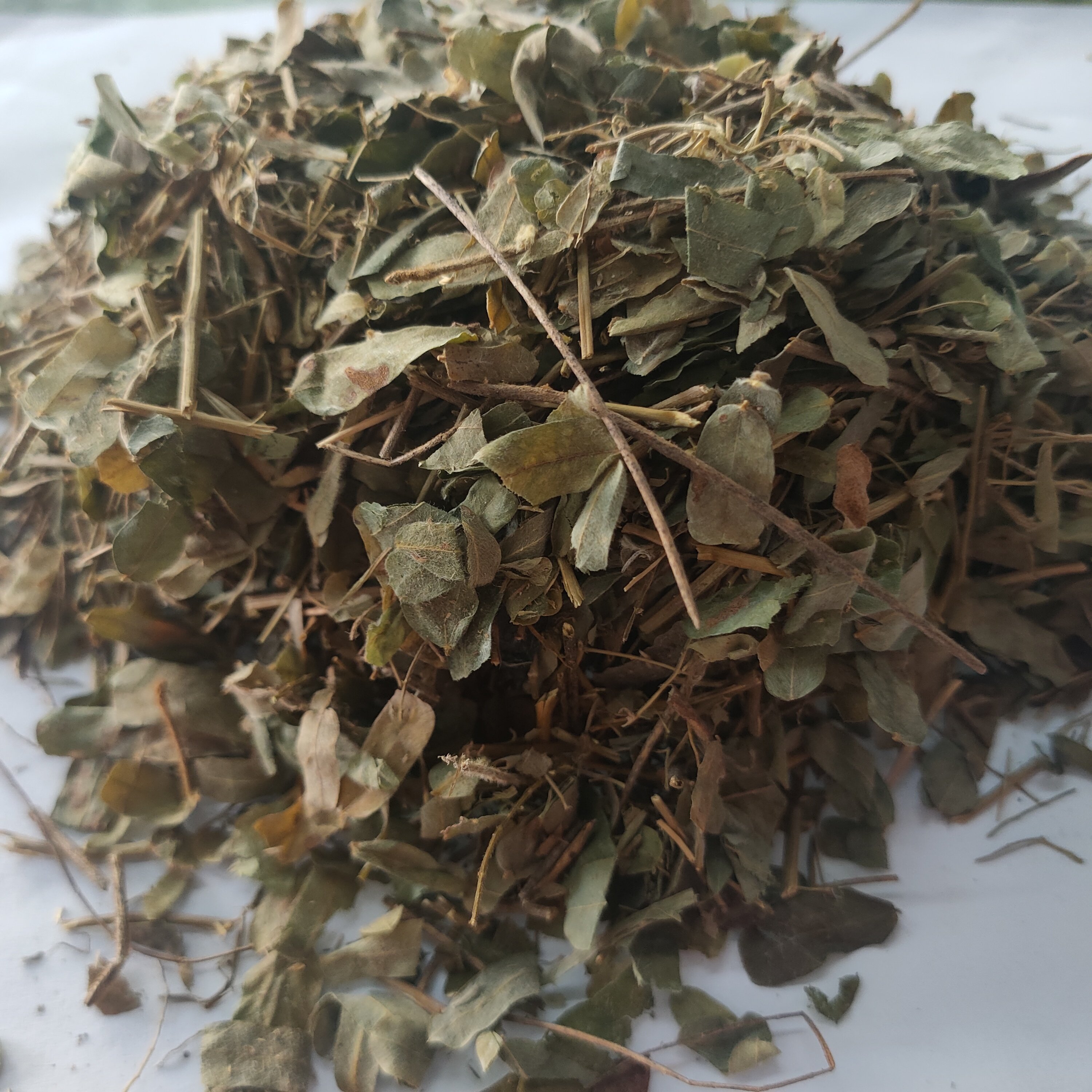 鸡骨草叶 拍3斤包邮 广西野生鸡骨草叶子 正品中草药材500g克