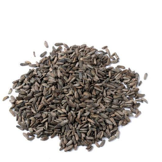 牛蒡子 买3件包邮 大力子 牛蒡籽 牛子 大力籽 中草药材 500g克