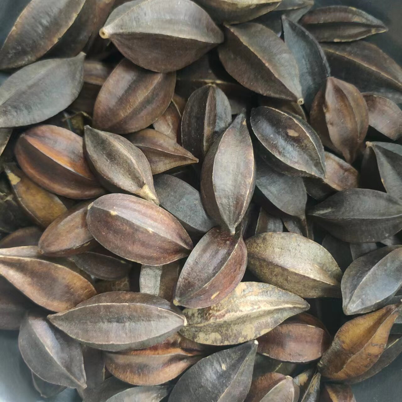 使君子 5斤包邮 使君子仁 500g克17元 中药材供应 初级农产品