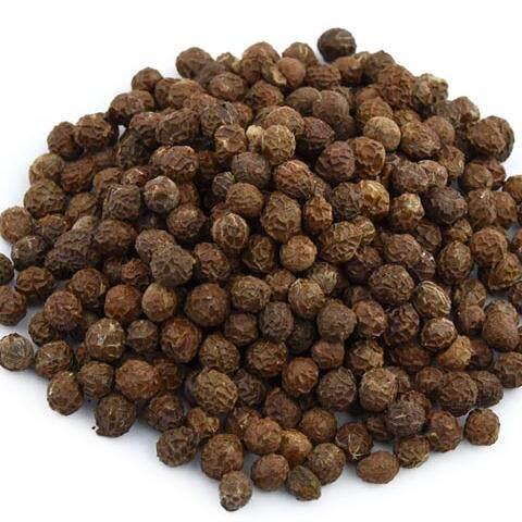 梧桐子 2斤包邮 梧桐籽 梧桐树子 500克14元 中草药材