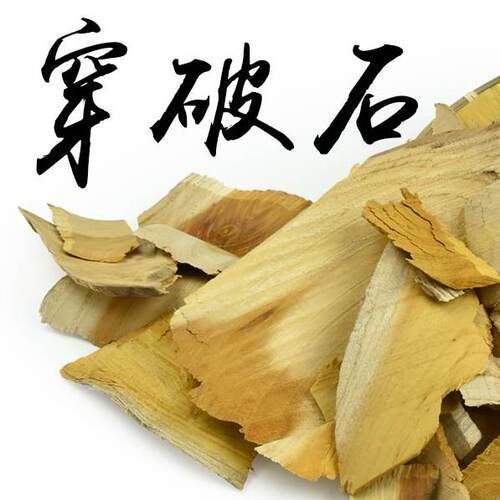 穿破石拍3斤包邮川破石
