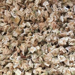 扁豆花 白扁豆花  扁豆花茶 干扁豆花 中草药材 500g克包邮