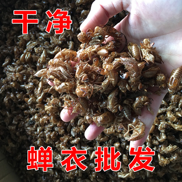 蝉衣 干净蝉蜕 蝉退知了皮虫蜕蝉壳 金蝉衣 中草药材 500g克包邮
