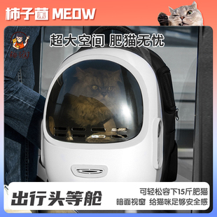 猫包外出便携包透气双肩宠物背包大容量猫包猫笼太空舱