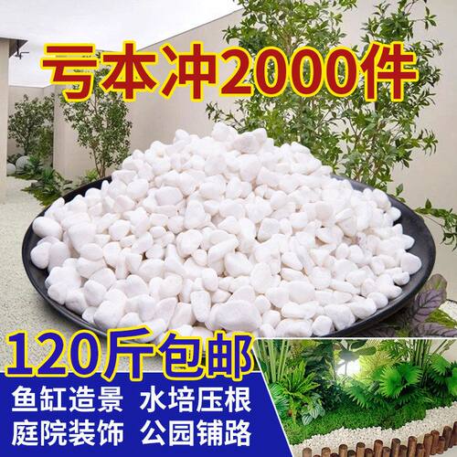 洗水培白石鱼缸小石头子花盆白色