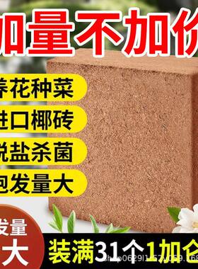 通用型乌龟杀菌土种菜椰壳脱盐