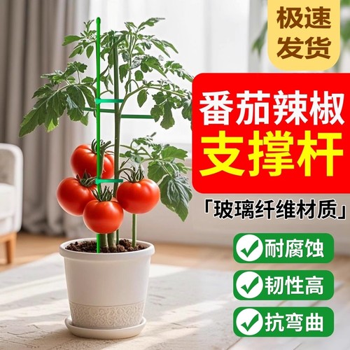 升级款卡扣式植物支撑杆
