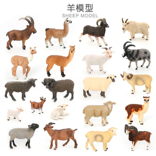 50种羊模型仿真动物羊驼绵羊美利奴羊盘角山羊四角羊羱羊摆件玩具