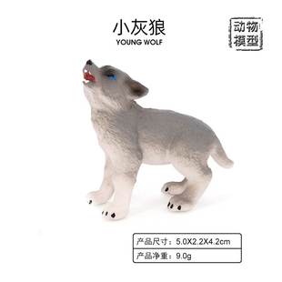 仿真野生动物模型狼 幼狼小狼崽小灰狼 幼儿早教认知儿童玩具摆件