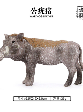 疣猪模型仿真野生 动物Warthogs  公疣猪 摆件 早教认知儿童玩具