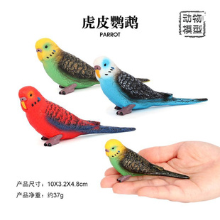 虎皮鹦鹉模型彩凤鹦哥儿童认知摆件仿真飞禽鸟类动物玩具